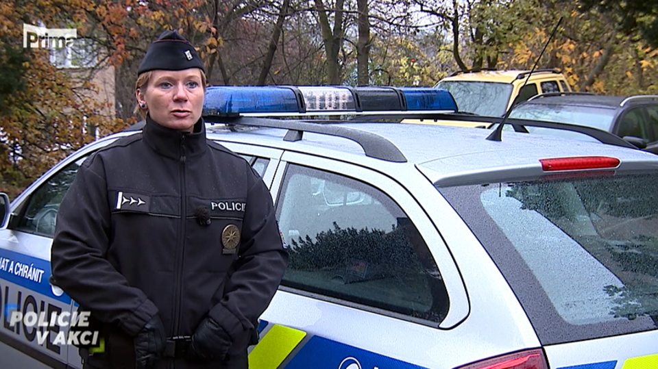 Policie v akci IV (26) fotka
